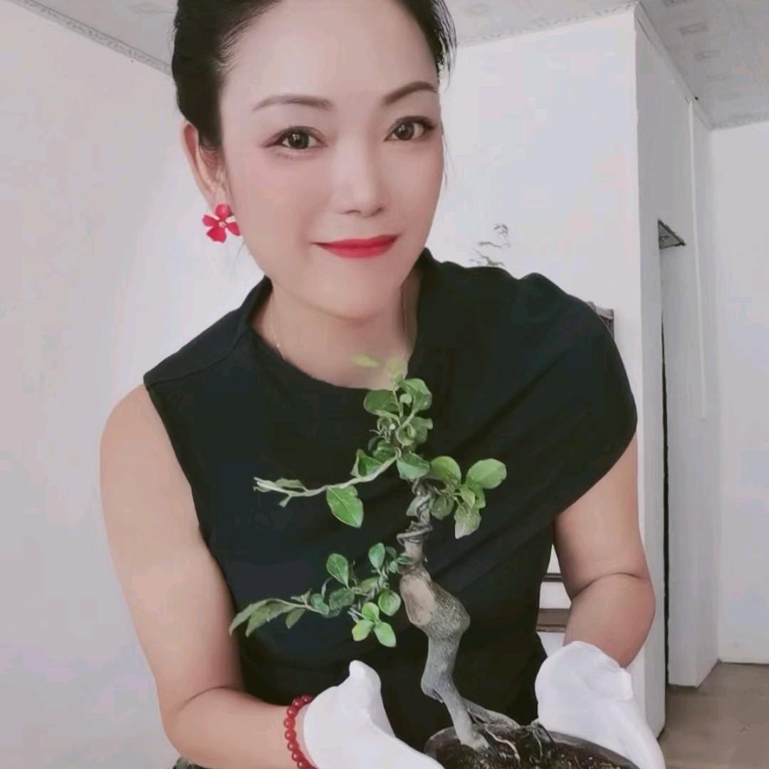 美玲艺园
