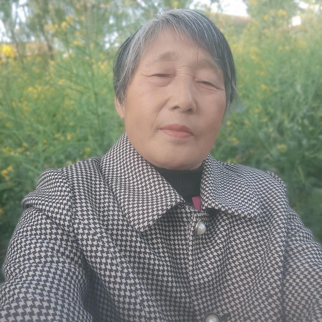 平安奶奶(晚上：9点13分首播)