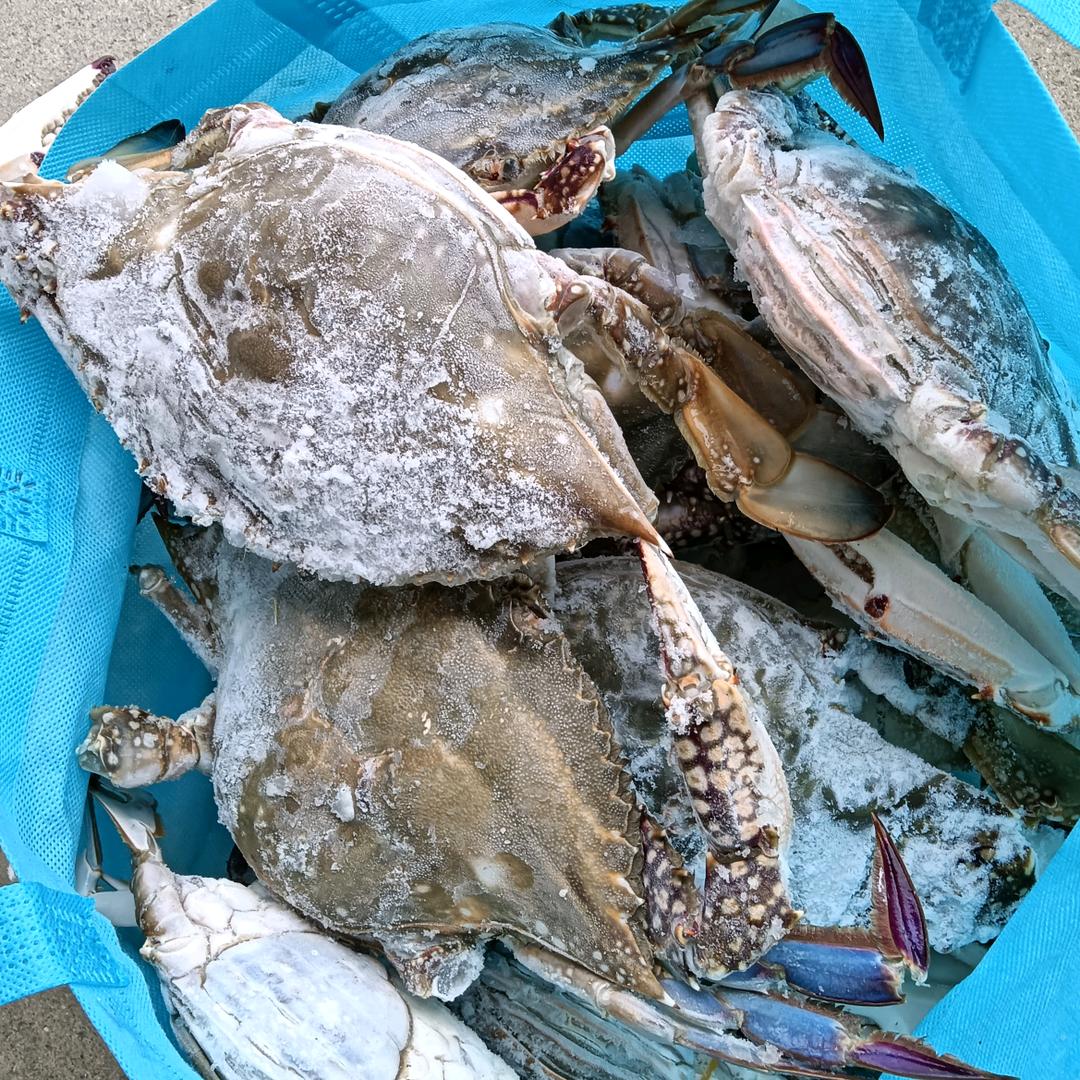 鱼民兄弟