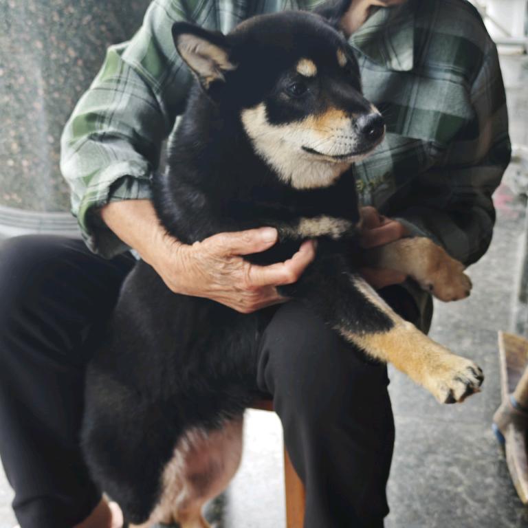 玩家Nick