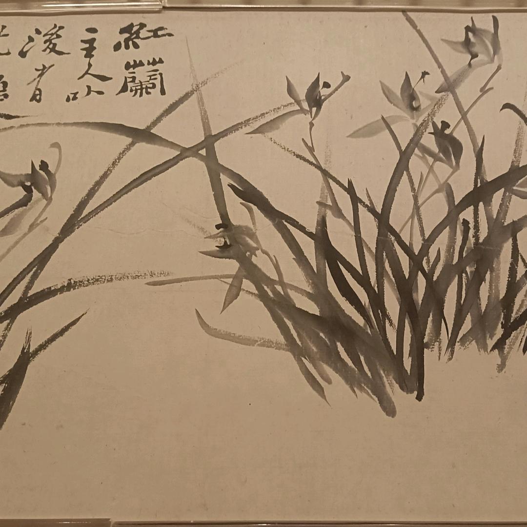 悟