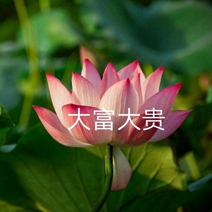 开心美好7