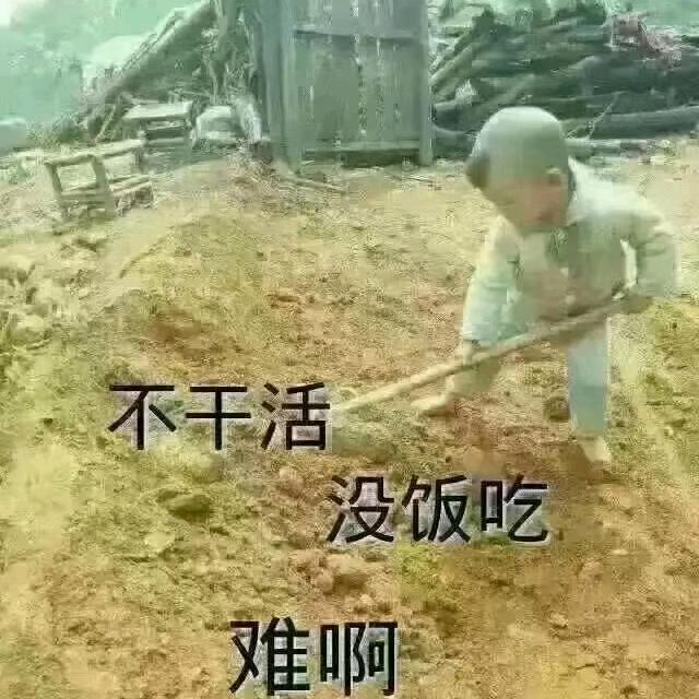 一生无悔