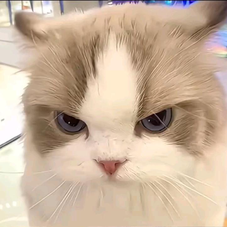 杀头像