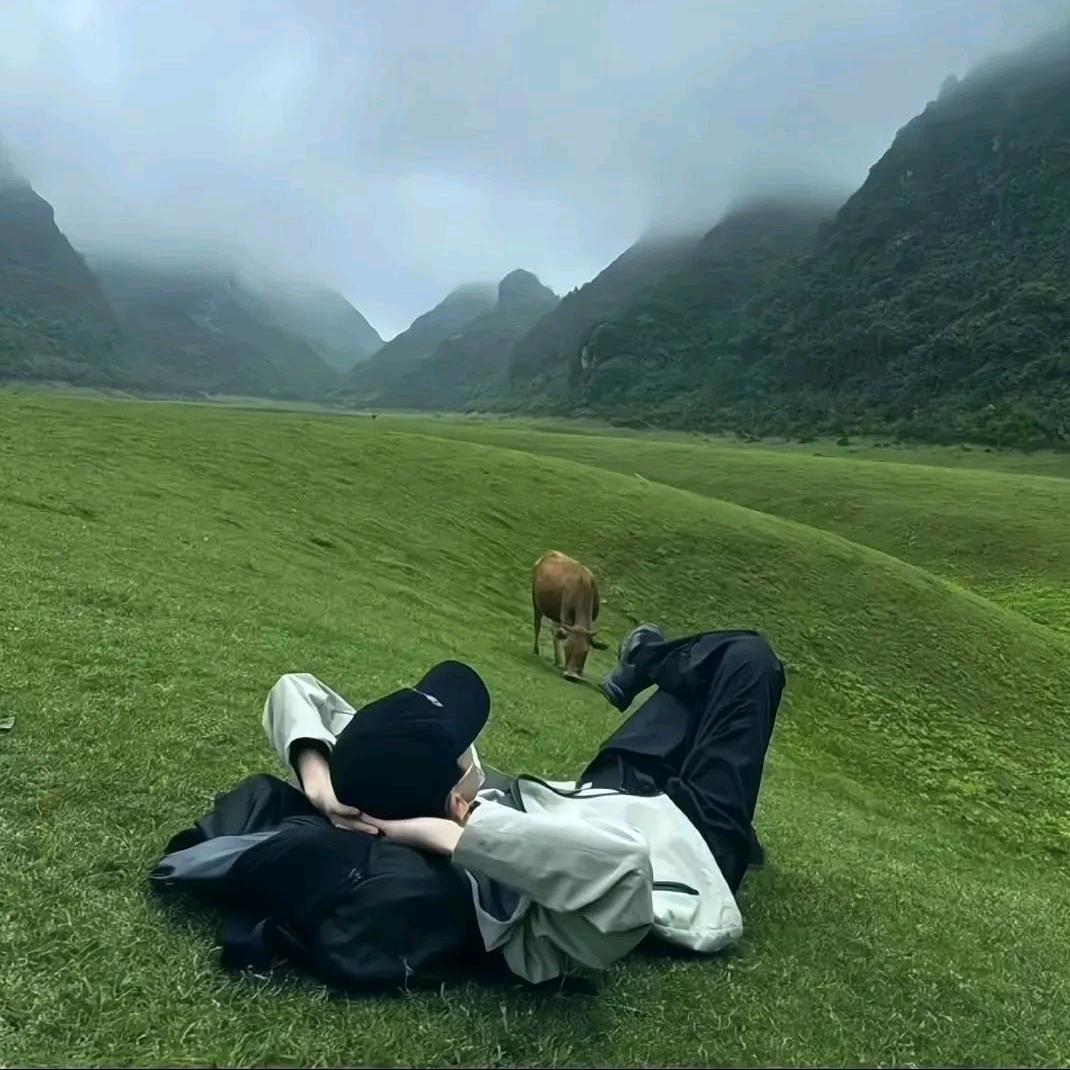 爱打游戏的小赵同学