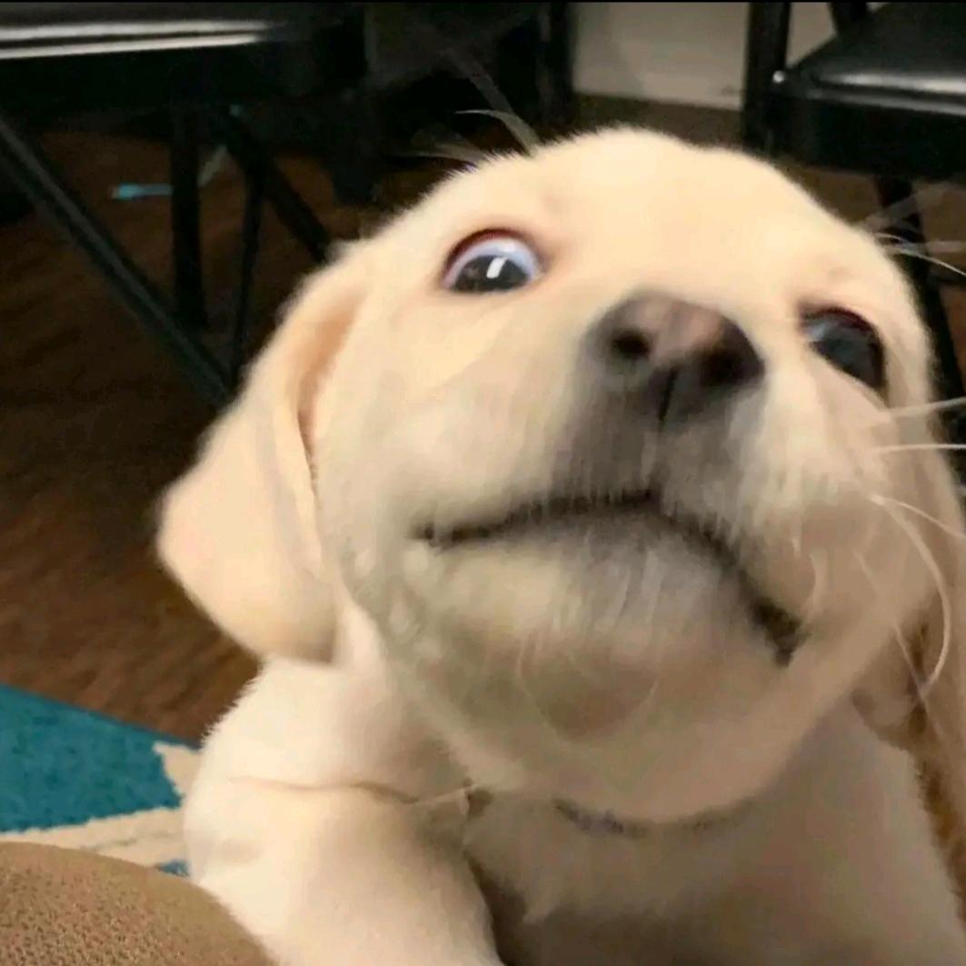 一碗蘸水吃三天