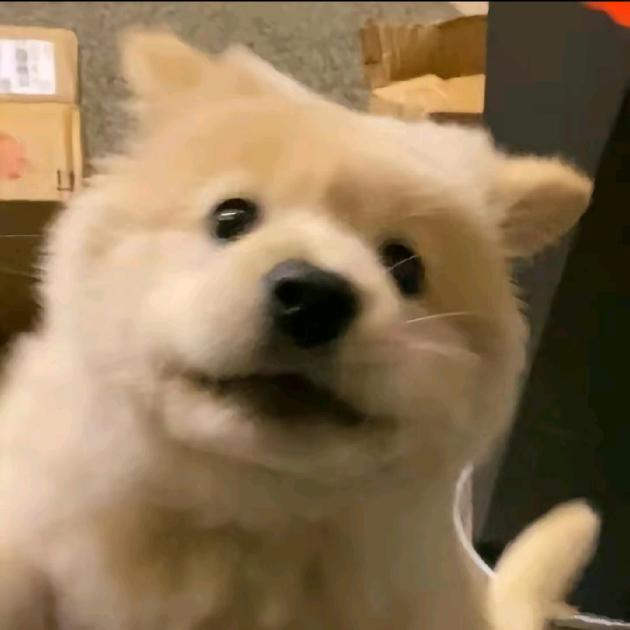 .¥