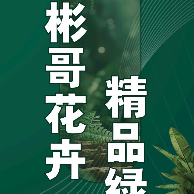 汾阳彬哥花卉