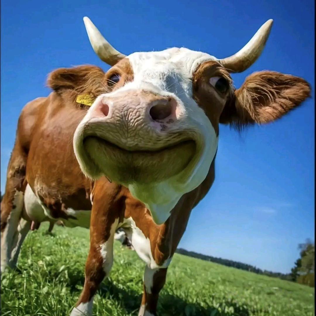 167