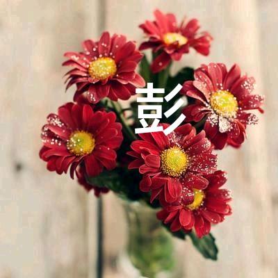 花花ᅠᅠ
