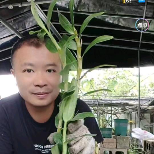 飞黄腾达梁炎夏