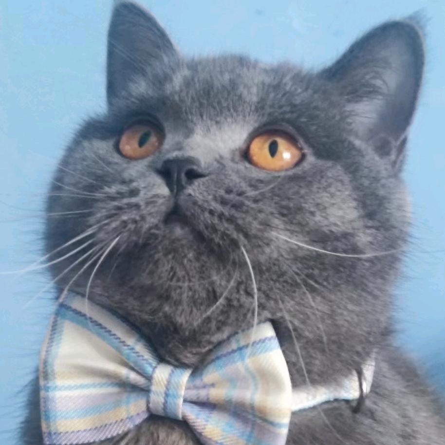 薇薇安是小公主