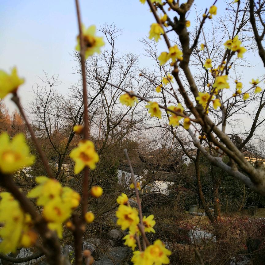 峨眉山月