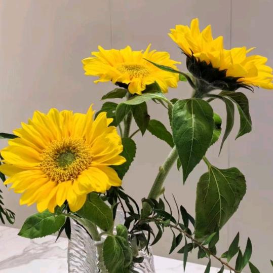 开心每一天😍😍