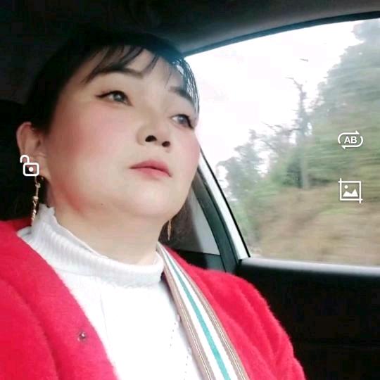 美凤