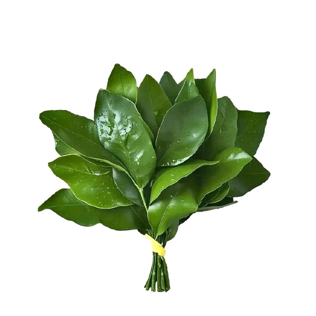 一颗小多肉（:减肥版