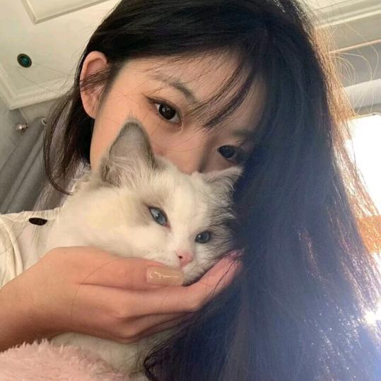 雪./*