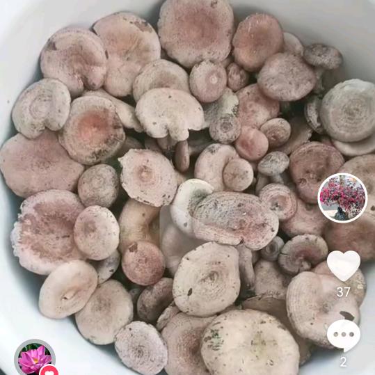 钱塘江（土行孙）