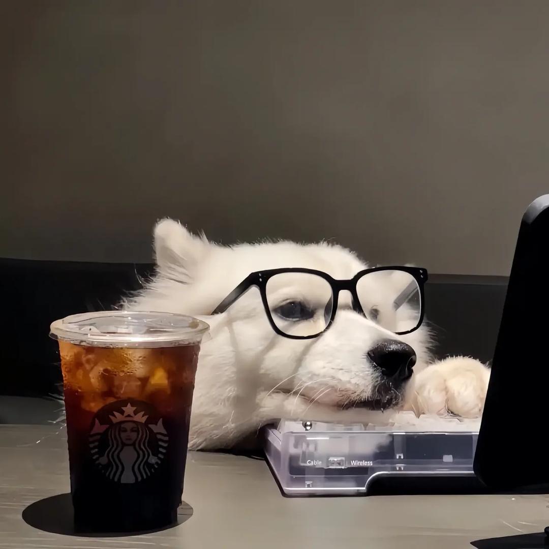 漠