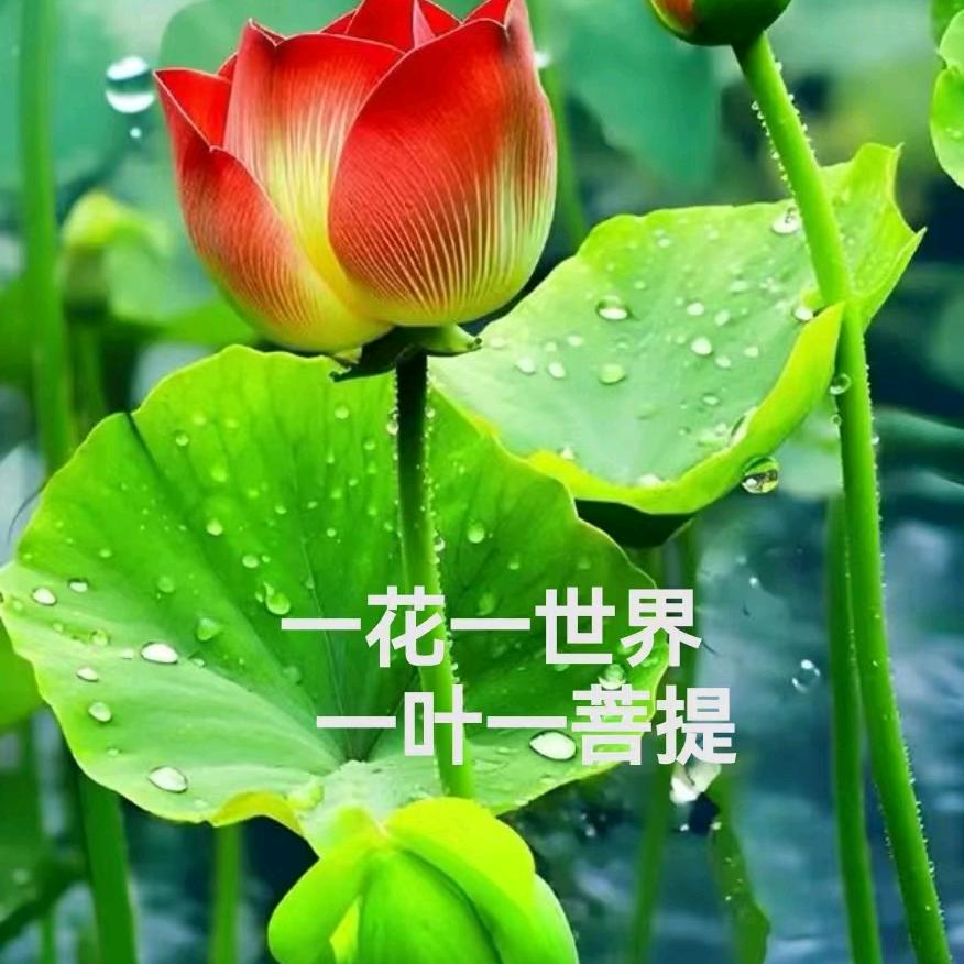 随缘🙏