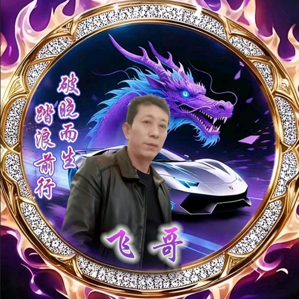 飞哥果园叶大片