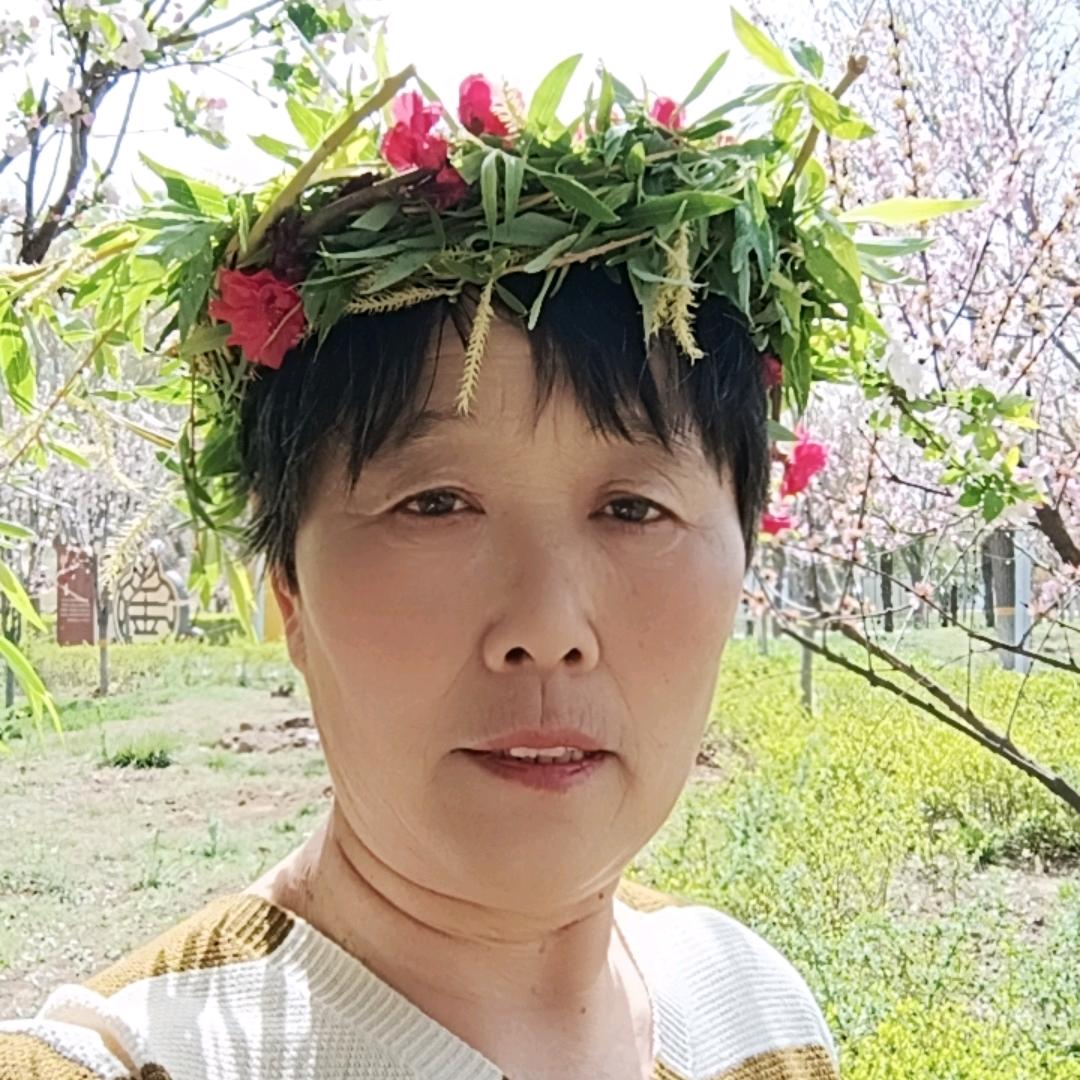 陶姐