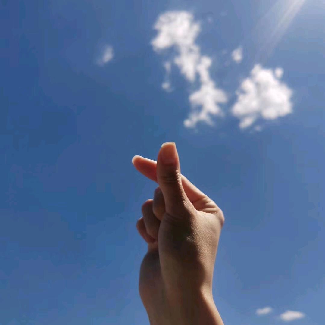 人间蜉蝣