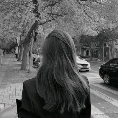 茂茂18