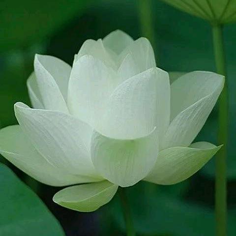如梦随缘