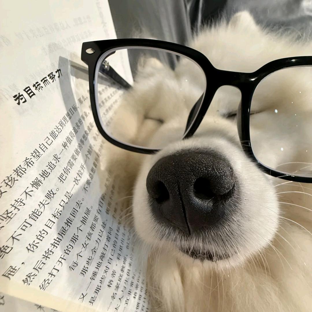 偷吃达酱