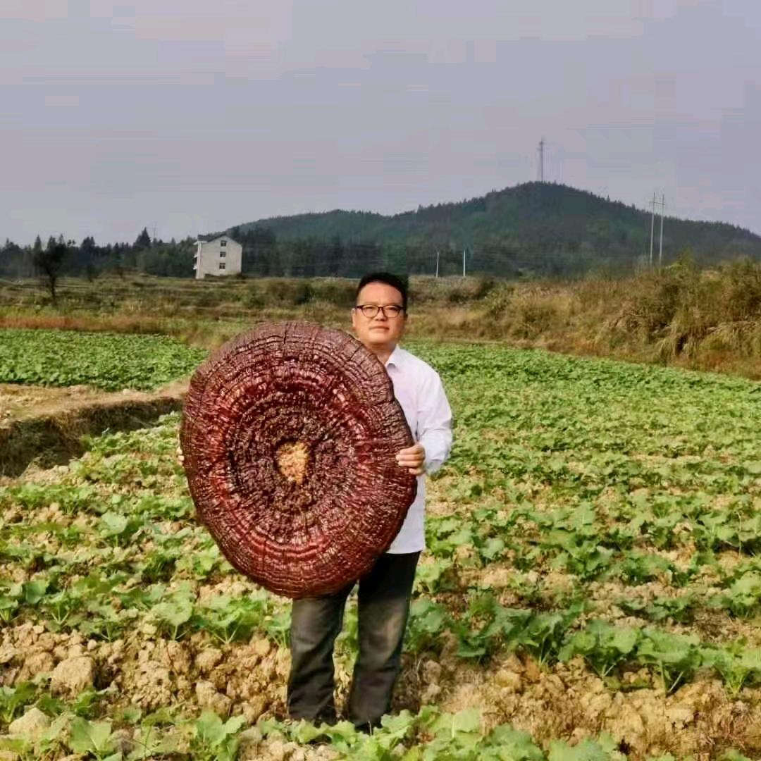 王哥农业科技