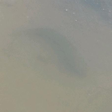 一刻一度一时光