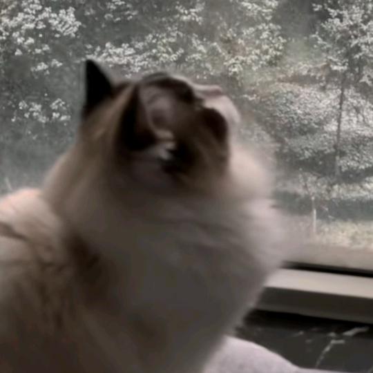 刮痧