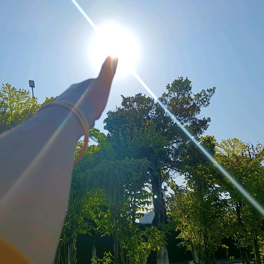 美好的一天从早晨开始