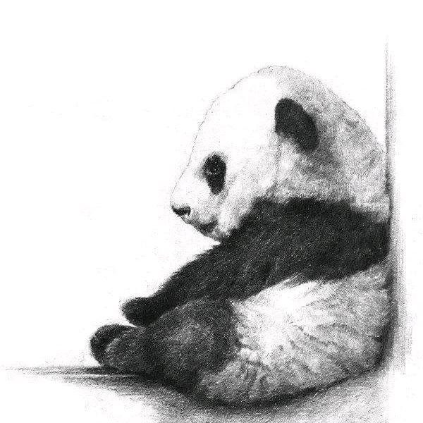 元头像