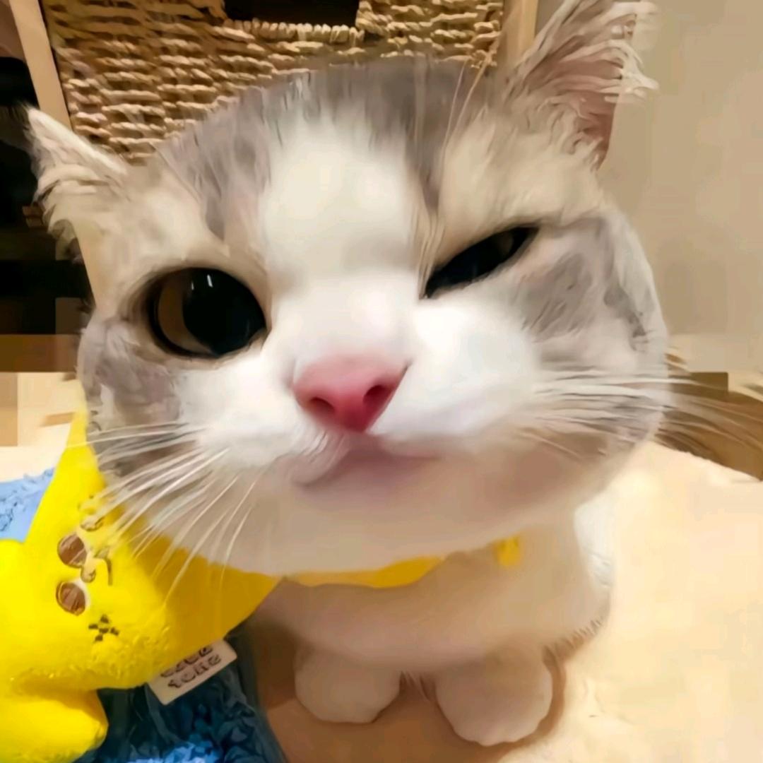 三角洲行动玫瑰（代肝）