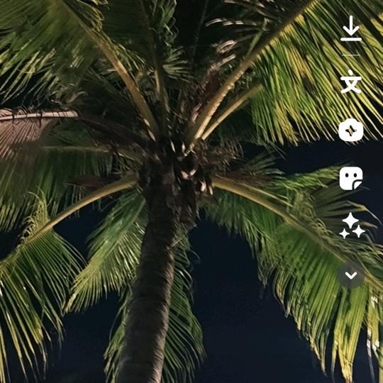 兮暖