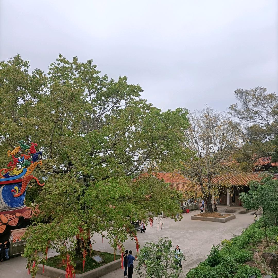 因果
