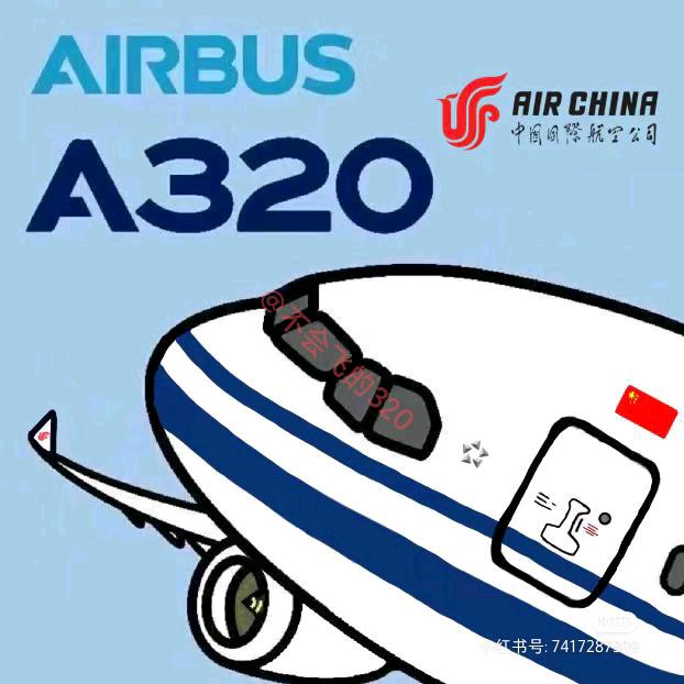 不会飞的320