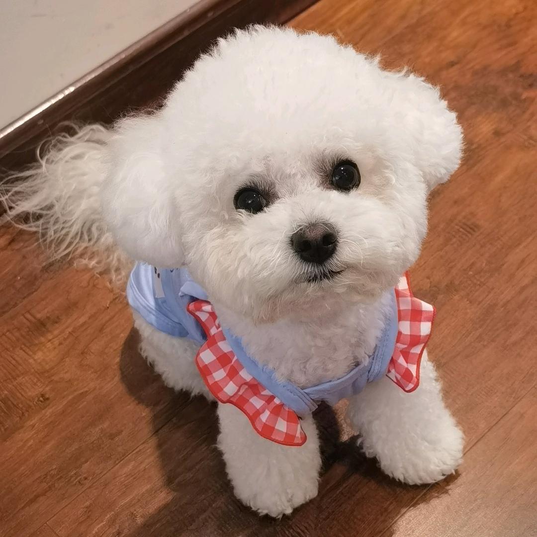 乐👀