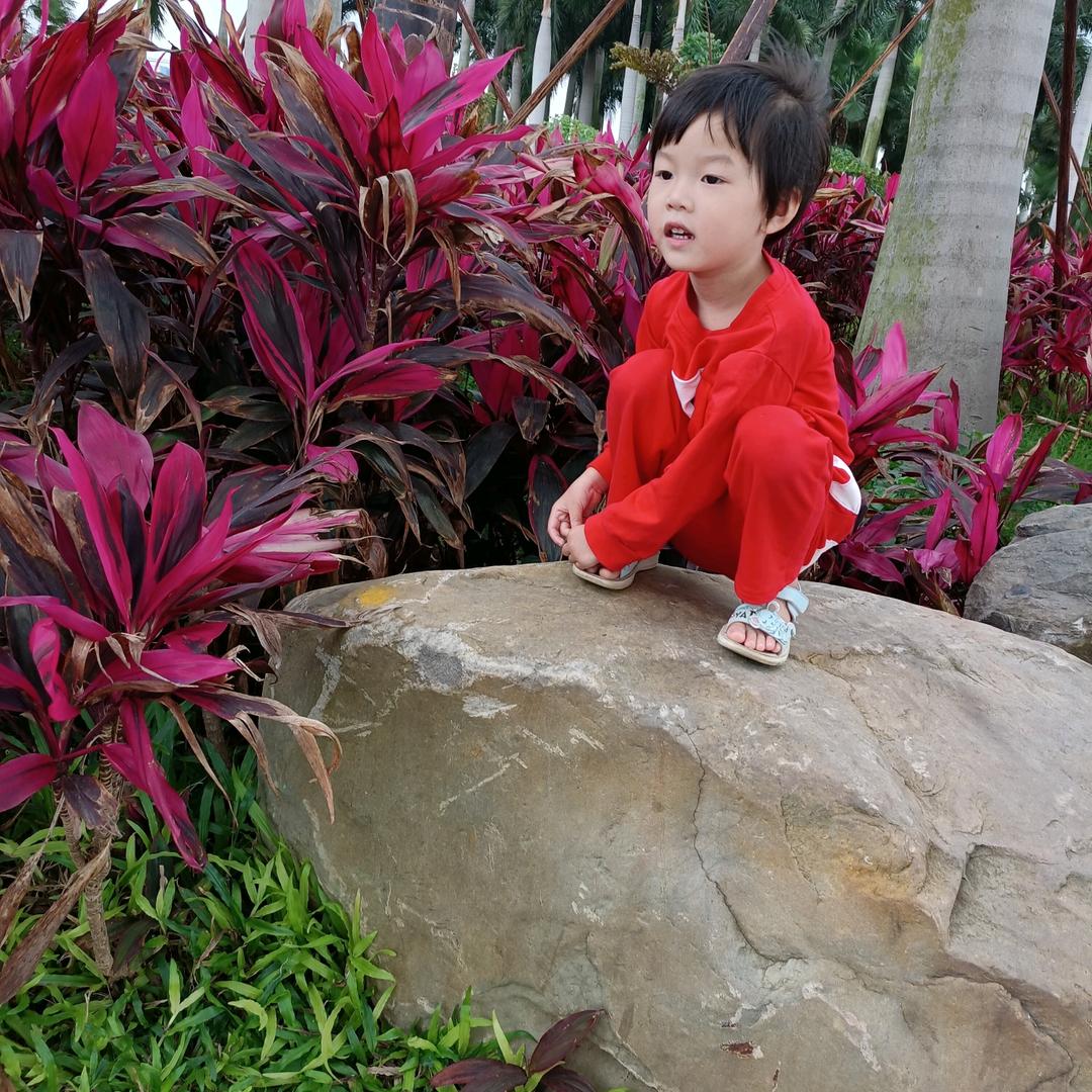 小月