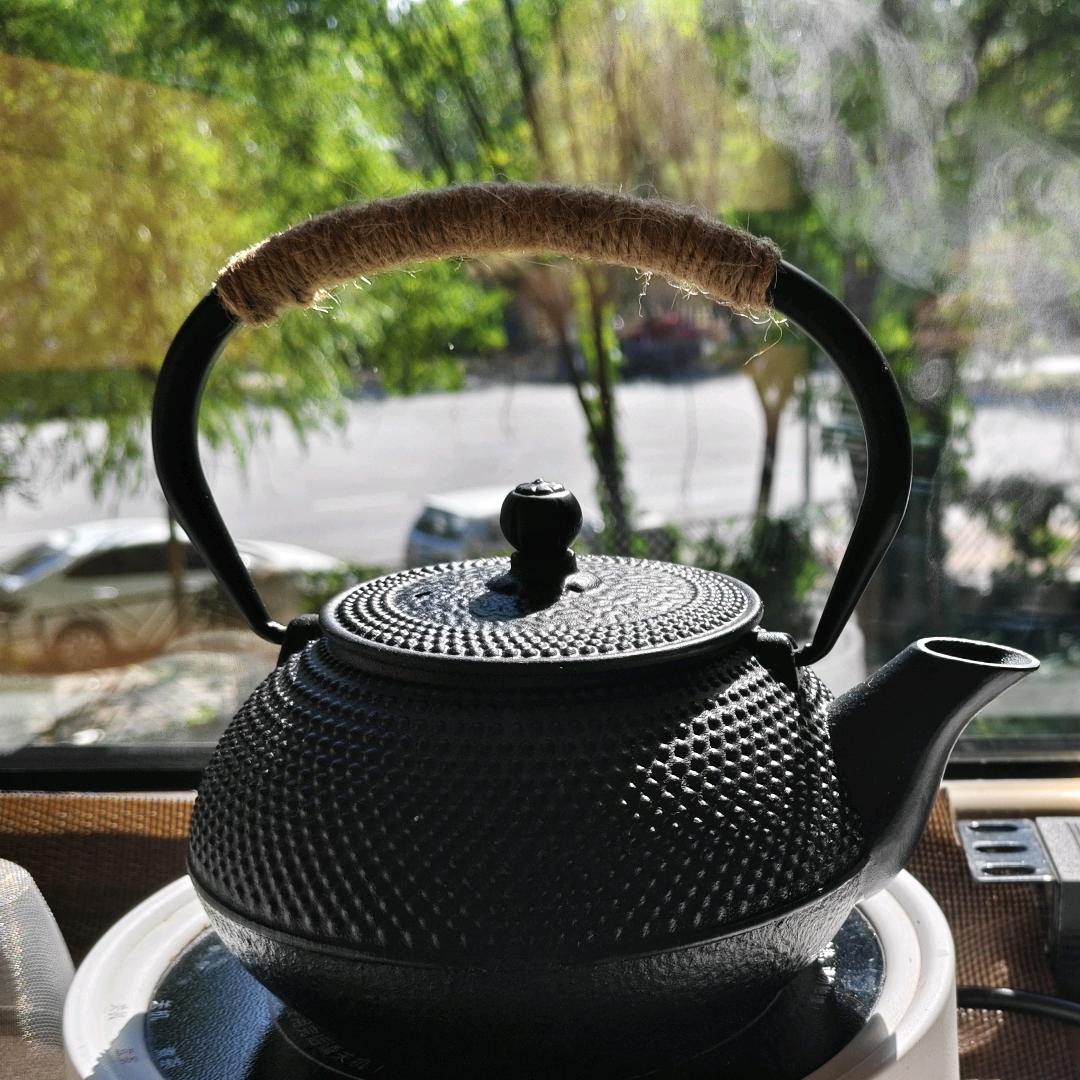 金鱼宇宙探险家