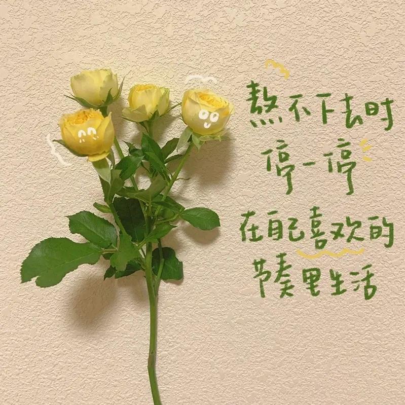 雷神朱城头像