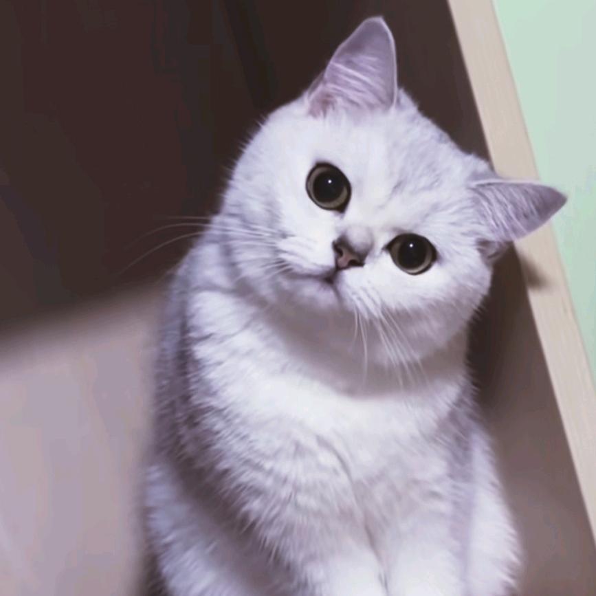 淸辰