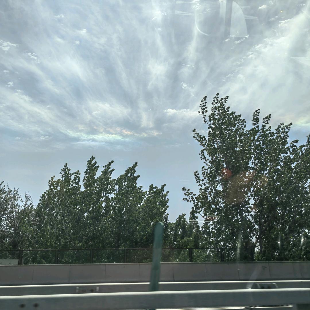 木子情感