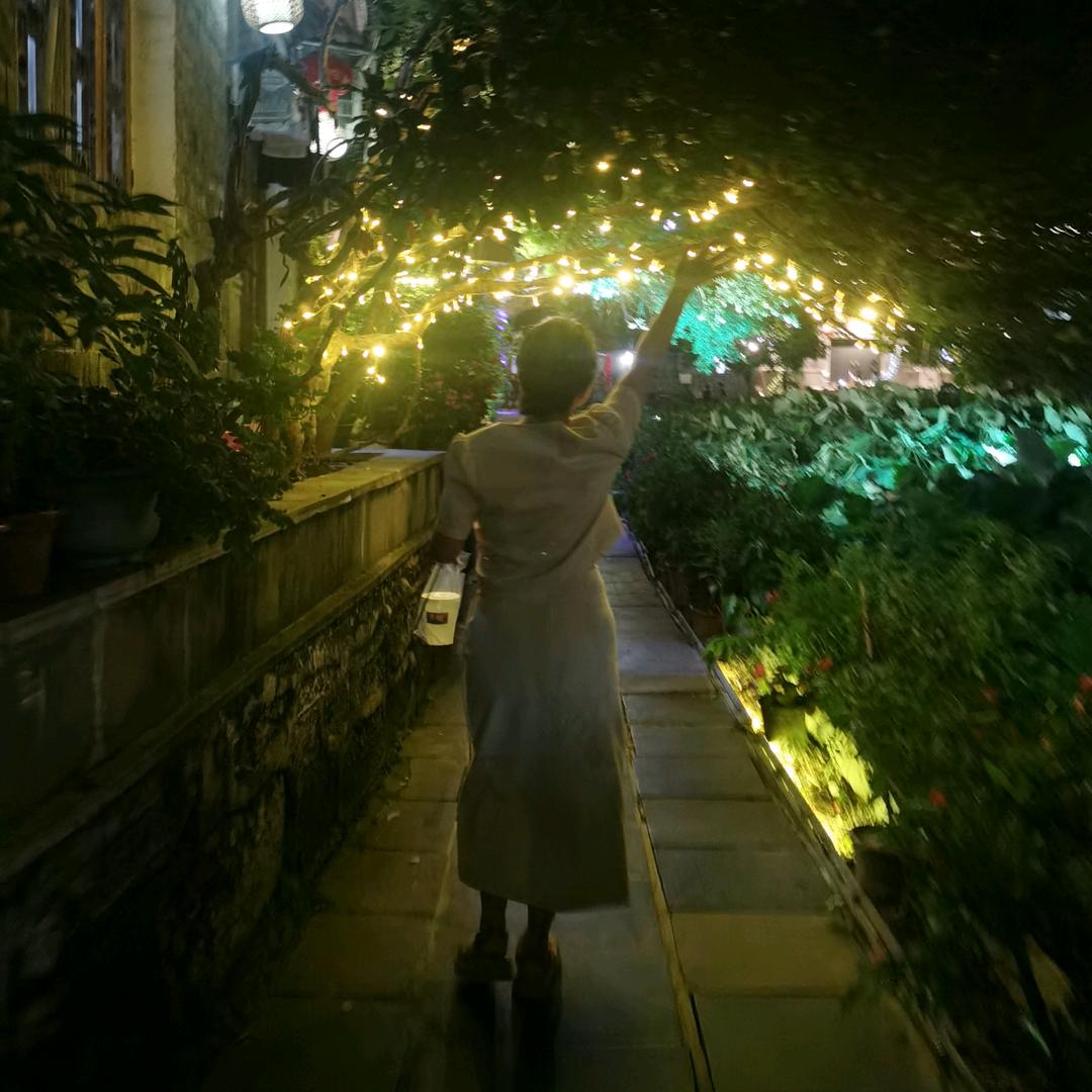 🌸肉脸君君🌸