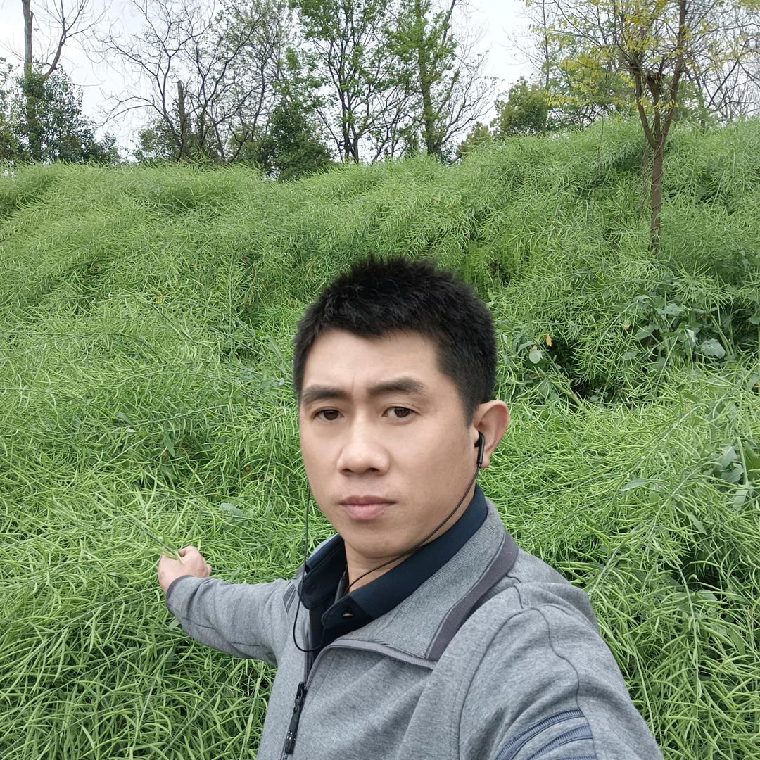罒维…羅