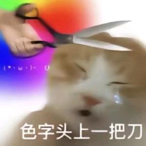 一顿八个女人