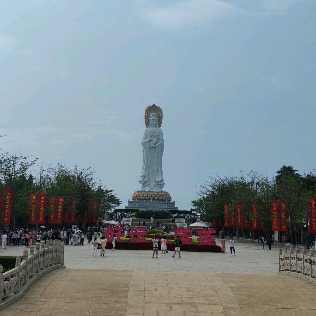 玫瑰花