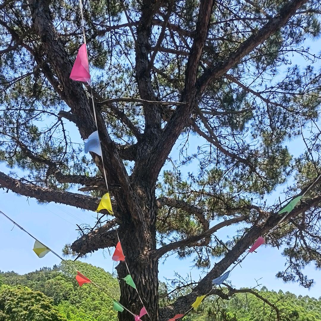 吉祥如意